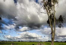 深圳男篮力克江苏，继续保持稳定