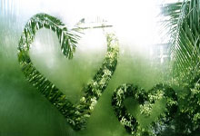 葡萄牙队在欧预赛中凭借进攻火力轻松获胜